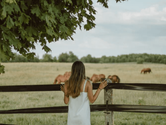 Farm Culture Is At Increase In The Rural Areas Kike Vega F2qh3yjz6Jk Unsplash 8 Min